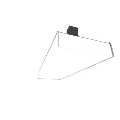 Ceiling Light