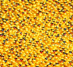 THE DUCKIE ARMY!!!