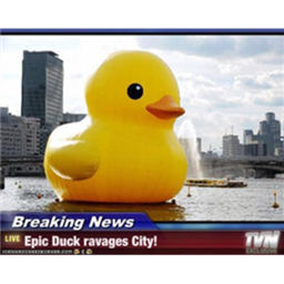 The Duck & Squid group Hangout