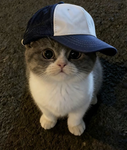 Oryze Styles