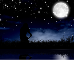 Moonlight City #New updates!!!!!!