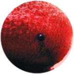 ✓ Roblox badge thumbnail
