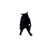 AZR.