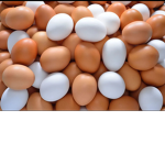Egggggggssssssss