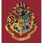 The True Wizarding World
