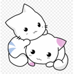 Team Best Cat!