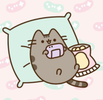 Pusheenlover