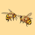 ʚ the little bees ɞ