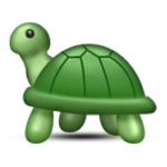 The Land of Turtles