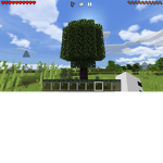 Team treee