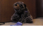 bear army funny