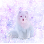 Piece of Wolf