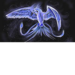 Mythical Creature Fan Club