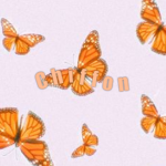 ⋆Chiffon⋆