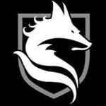 DSBA: Black Foxes