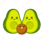 Avocado dimension
