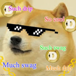 Doge rocks