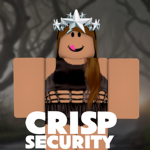 Crisp Security™