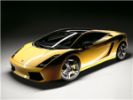 lamborghini fan club