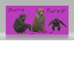 DUMB PURPLES FAN CLUB
