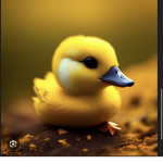 Duck are kings, ducks are kings