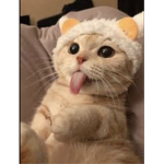 adorable..dreams