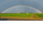 RGB Rainbowz