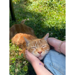 :3