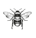 Bumble bee Fans!