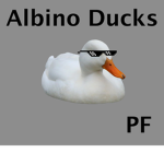 The Albino Ducks