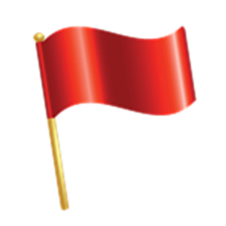 Capture The Flag NEW GUNS RIFLES PISTLES