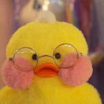 duck fam1ly