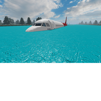 NTSB-Dateien: "Ein Flug im Park"