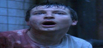 Its da baby doog