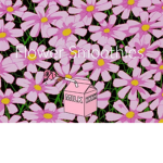Flower Smoothie's
