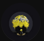 SawyerHillRoblox