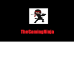 TheGamingNinja Fan Group