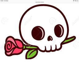 XD