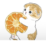 Sweet_Hxxney group!