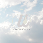 Unknow Skies