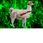 The Atomic Llamas