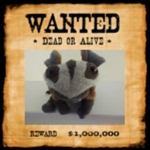 Boargy Wanted Ded Or Alive