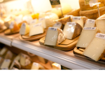 The Cheesy Cheese Gang is amazing