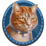 Kittypet Clan