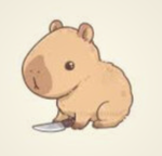 - The Capybara Club -
