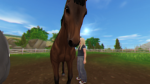 Friday Equestrian Club