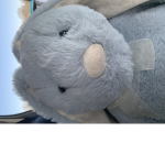 Lucky The Bunny Fan Group