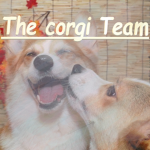 The Corgi Team