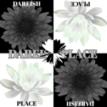 DareishPlace