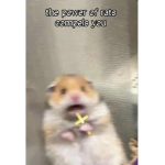 the secret society of dead rats in the sewers
